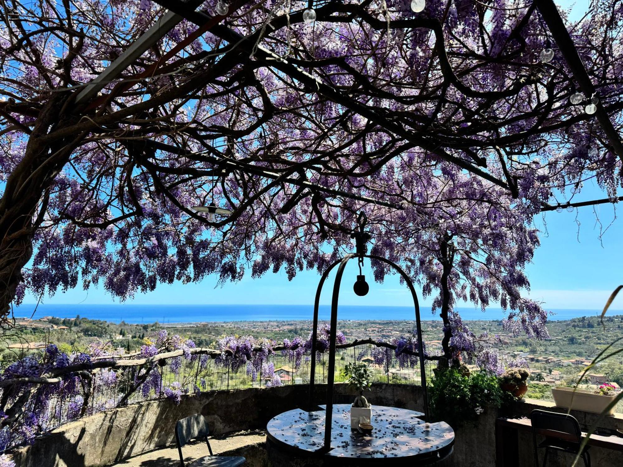 Il Noceto Dell'Etna Bed and Breakfast Giarre Buitenkant foto